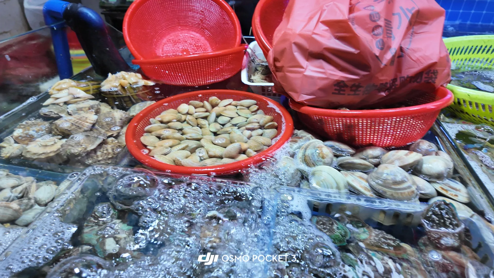 三亚海鲜市场+陈姐加工