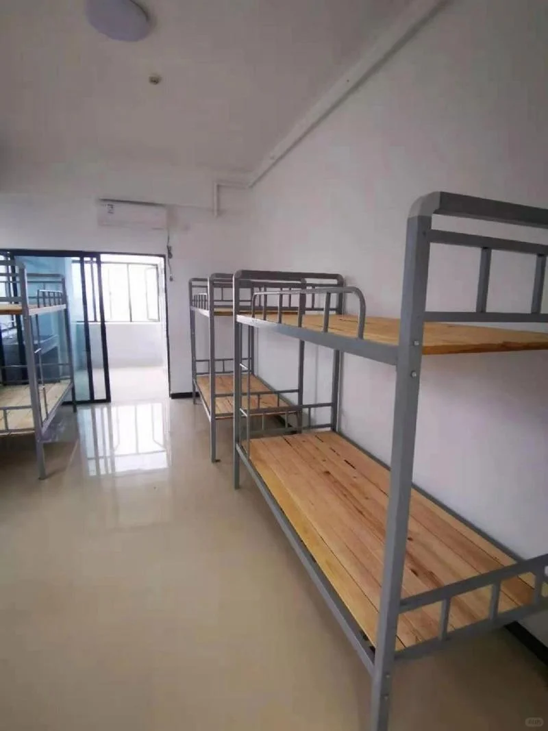 寒假进酸奶厂日常生活