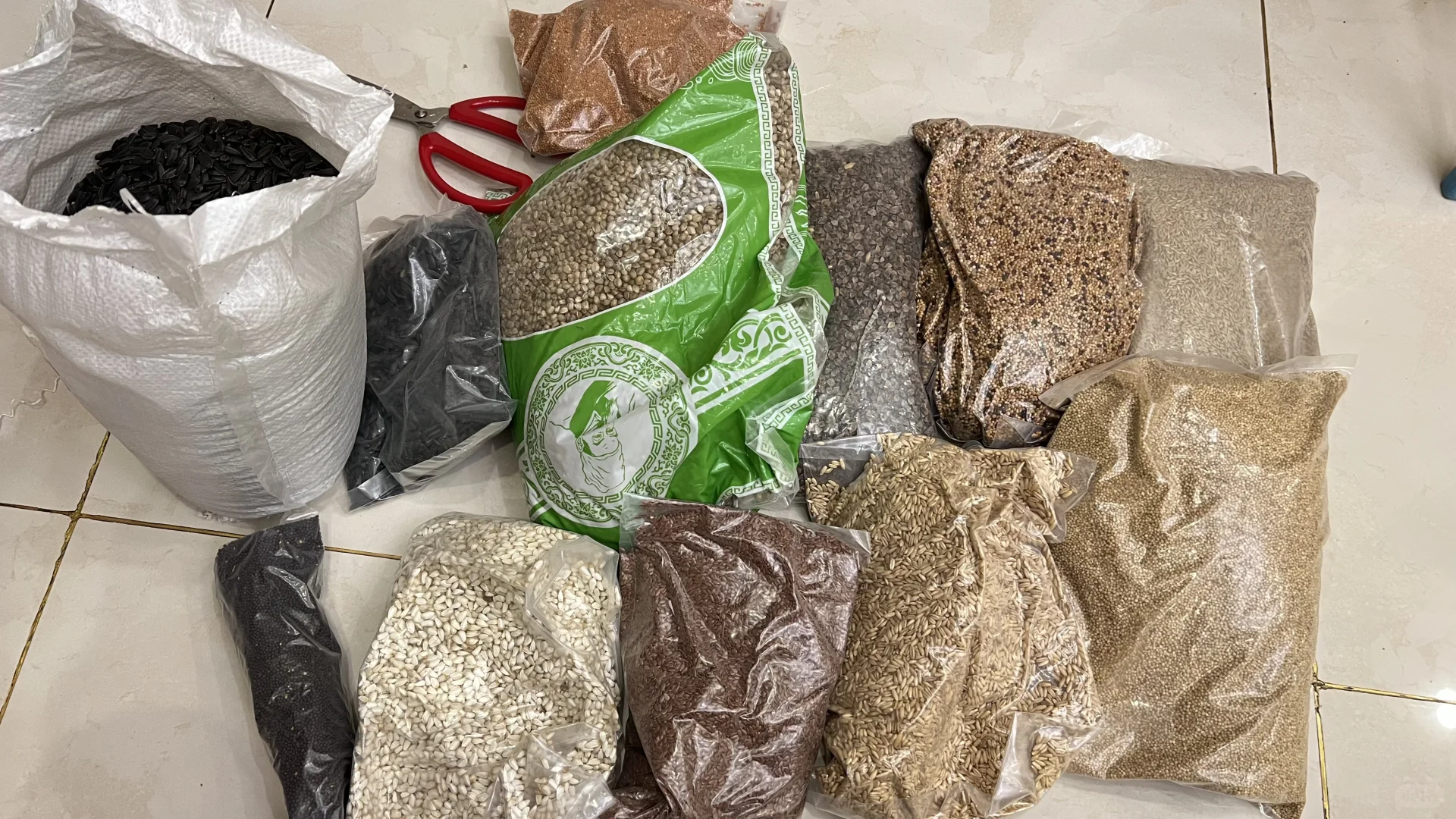 自己的鸟儿肯定要自己配粮食