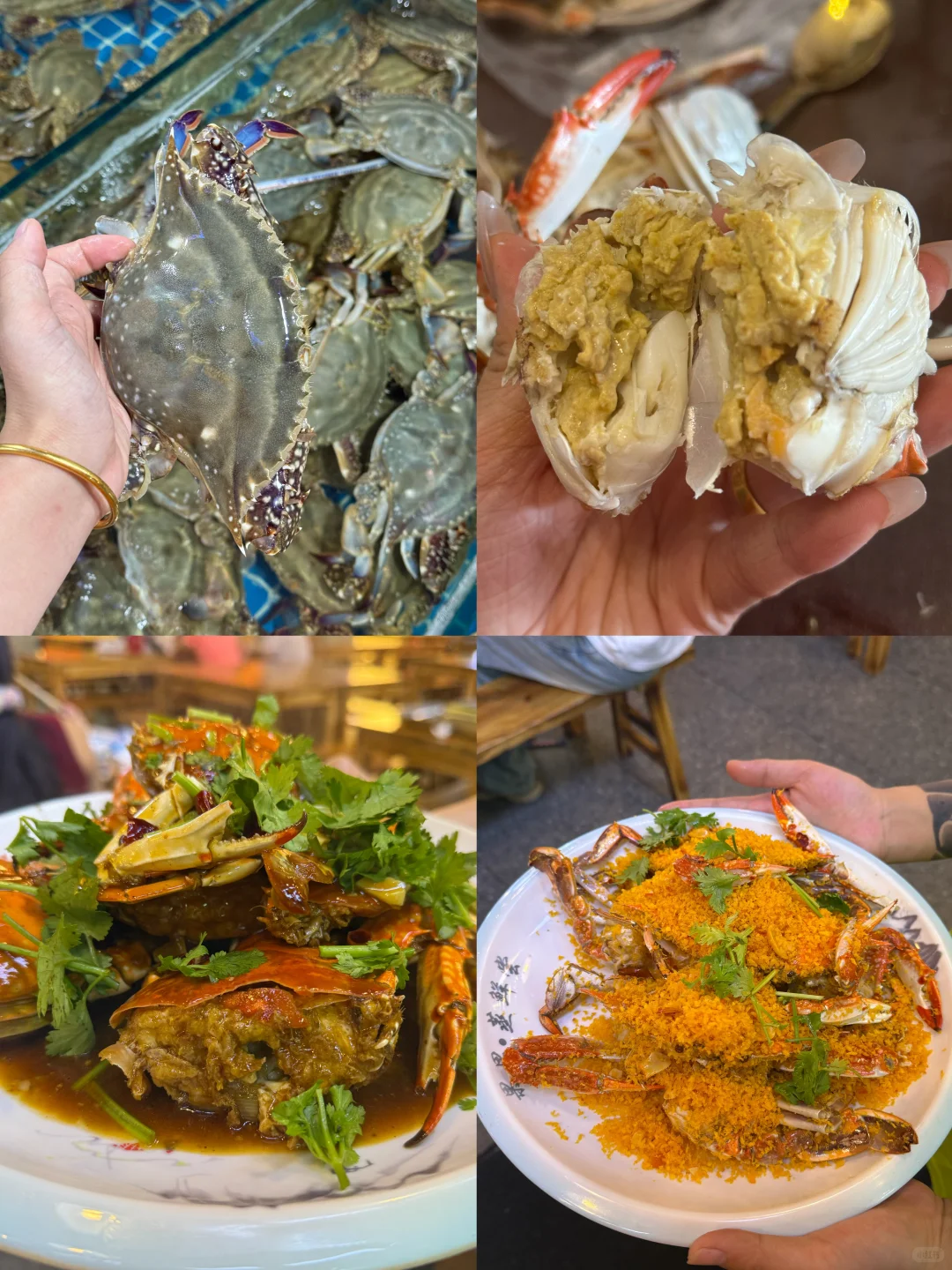 青岛淡季海鲜价格！海鲜加工本地人带你避雷✅