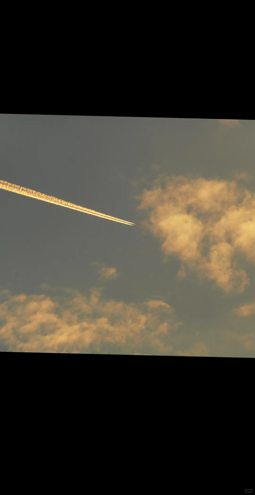 来个饭搭子，逛个海鲜市场