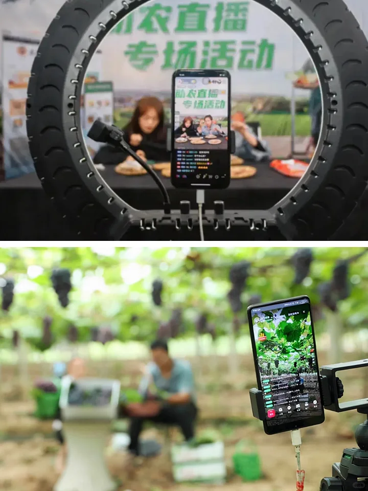 打破传统农产品销售痛点，探索销售新模式