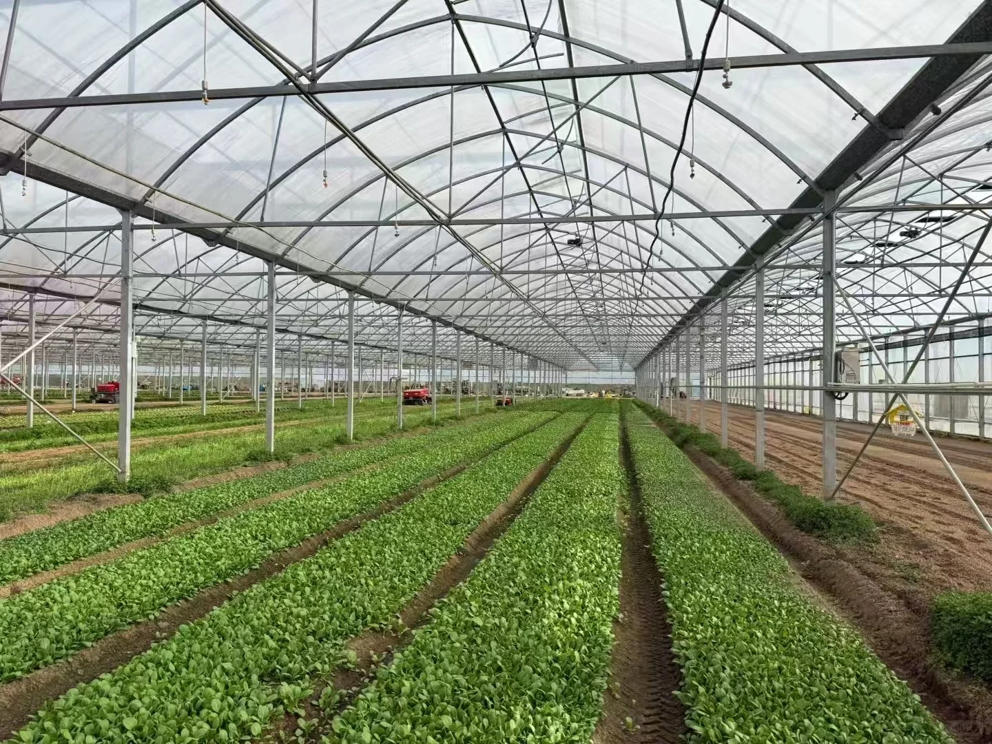 我们的无人生态农场