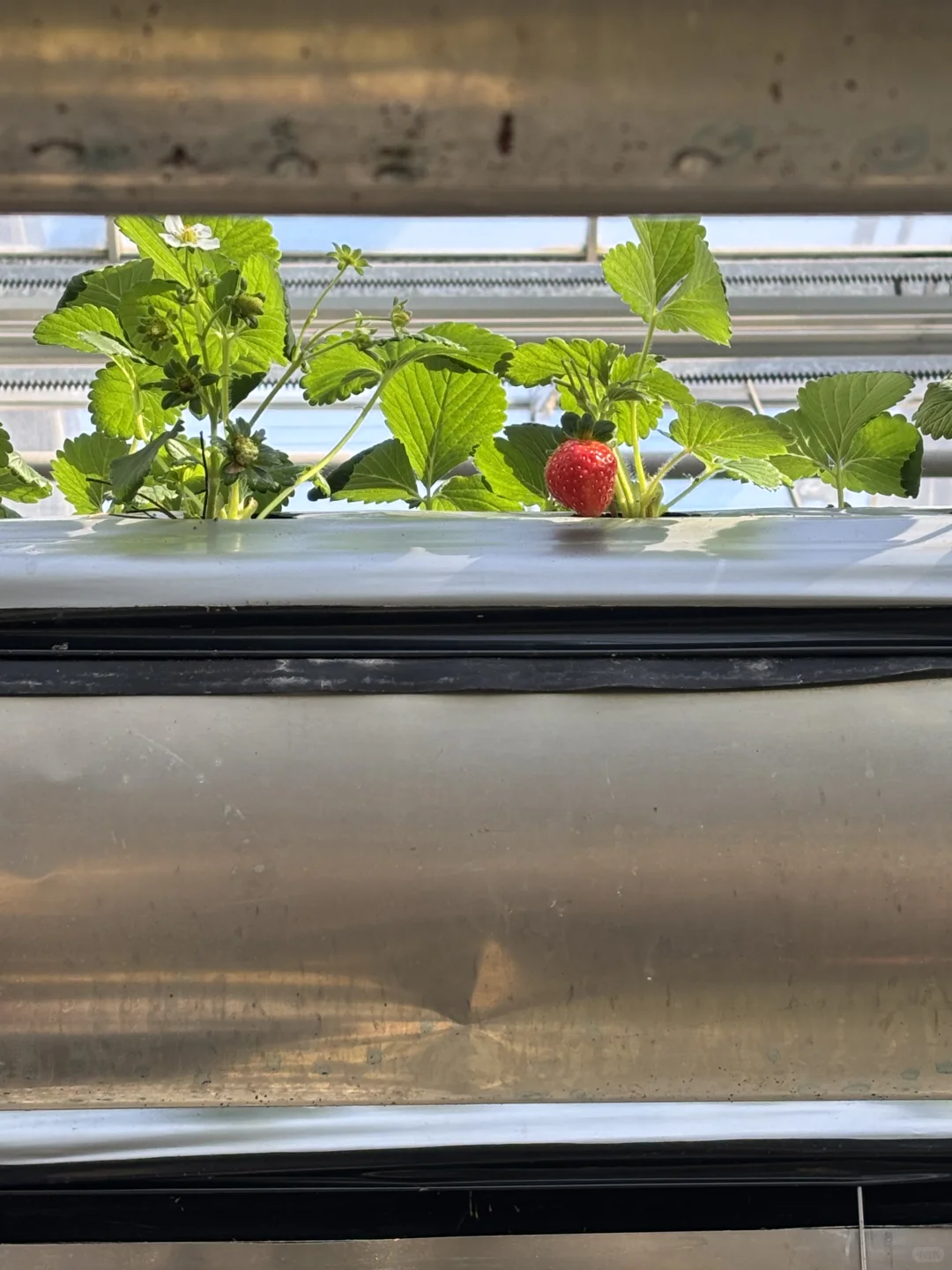 这个班真的太赞了！！！?