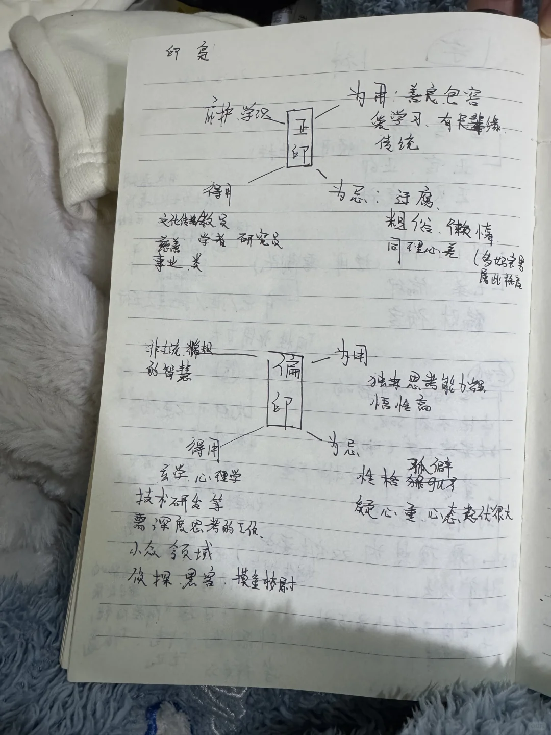 十神认识笔记分享