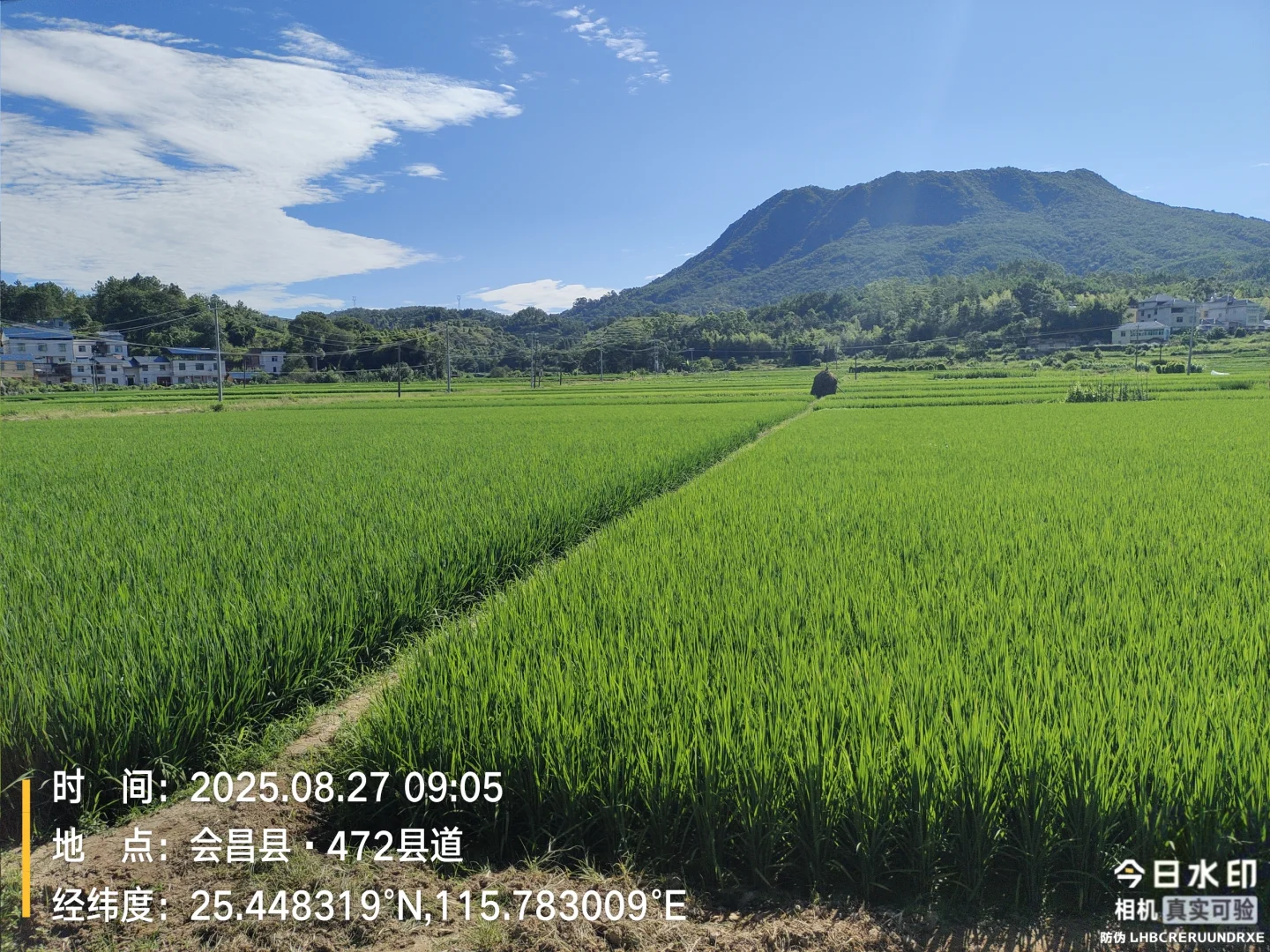 农村产业振兴 ，助农产品