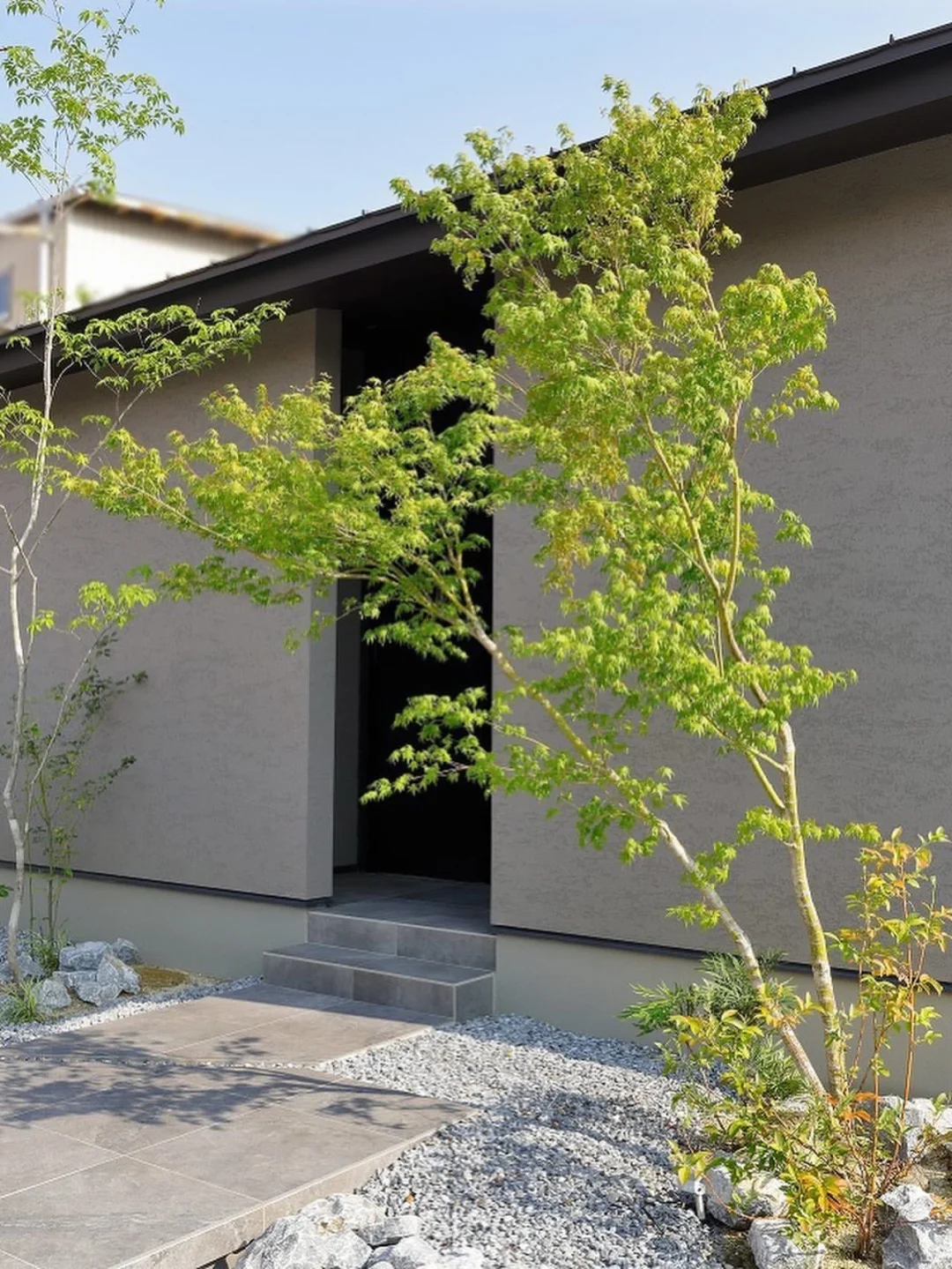 超简约花园绿植造景