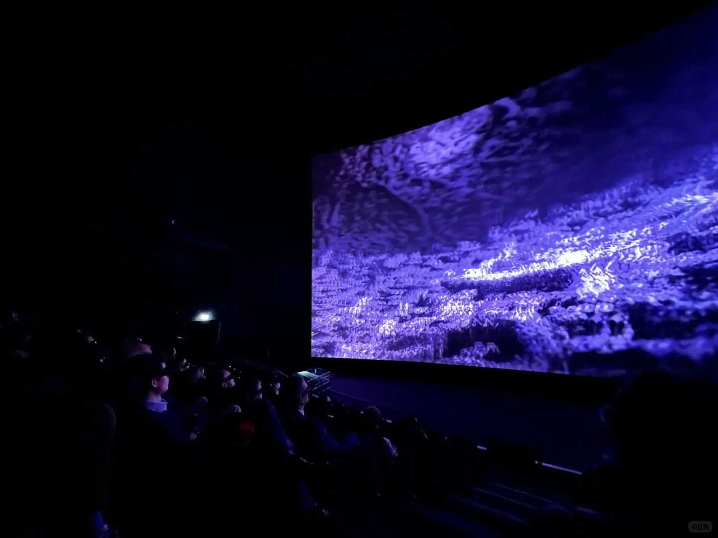 中国图湃医疗图像竟登上瑞士最大IMAX屏幕