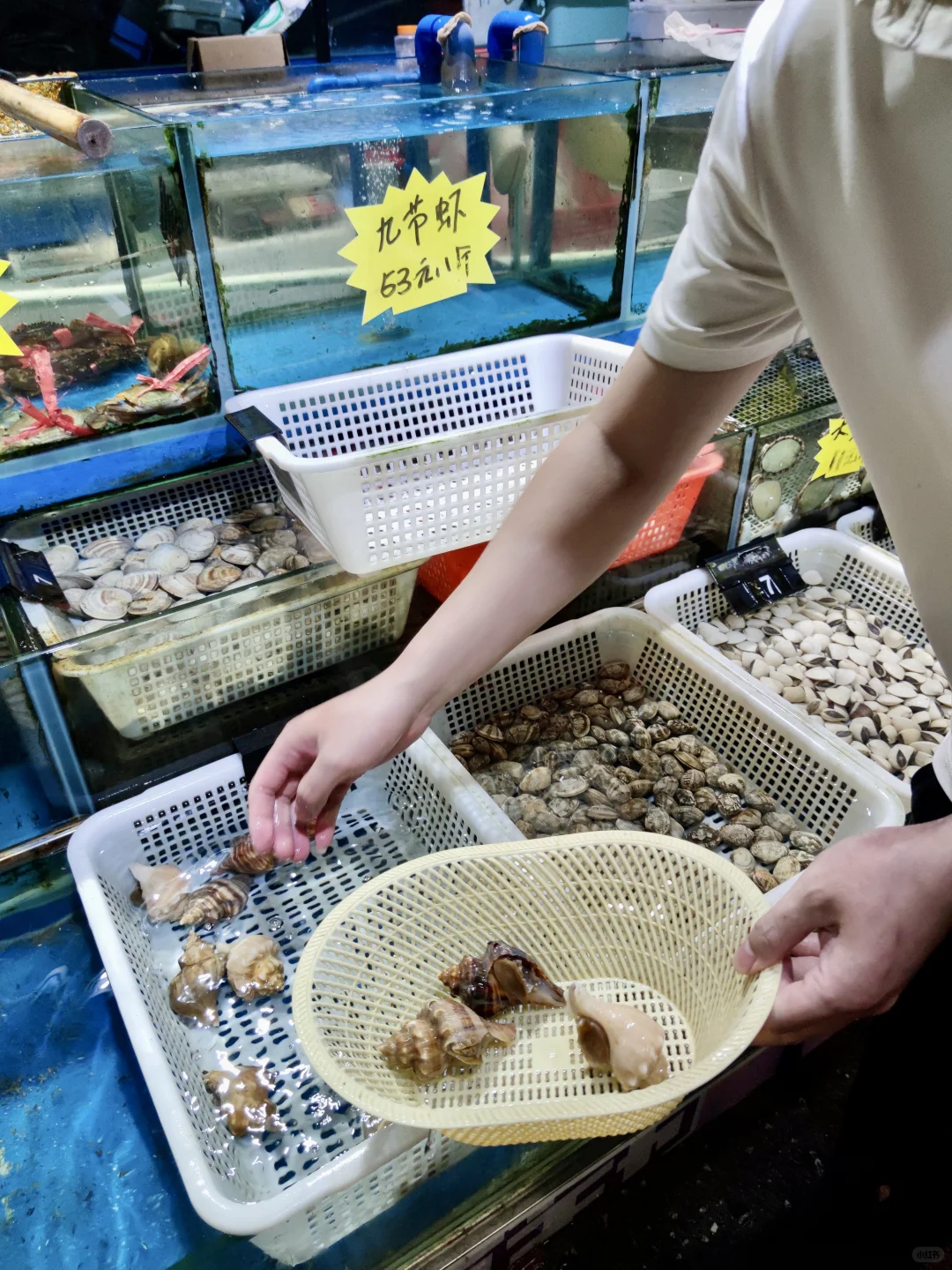 隐藏在菜肉市场里的烤肉店❗️现切牛肉香晕?