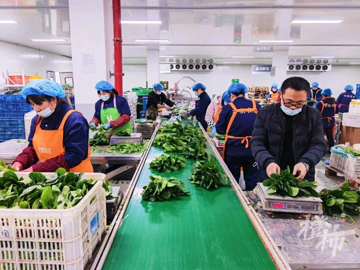 广州餐饮人进!一站式食材批发配送超省心