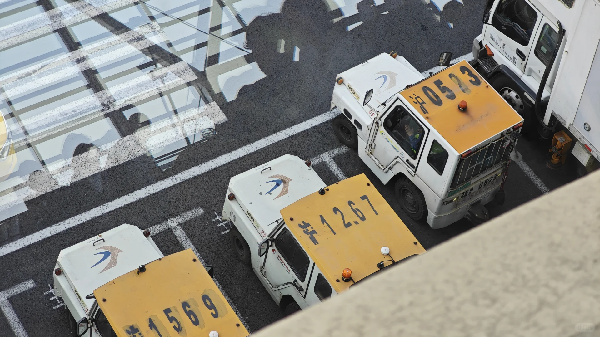 不是，没人觉得它真的超可爱的吗？！