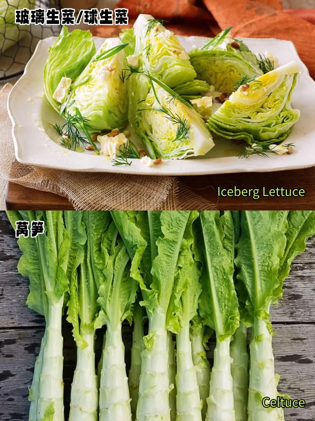 加拿大常见蔬菜中英文对照?叶菜篇