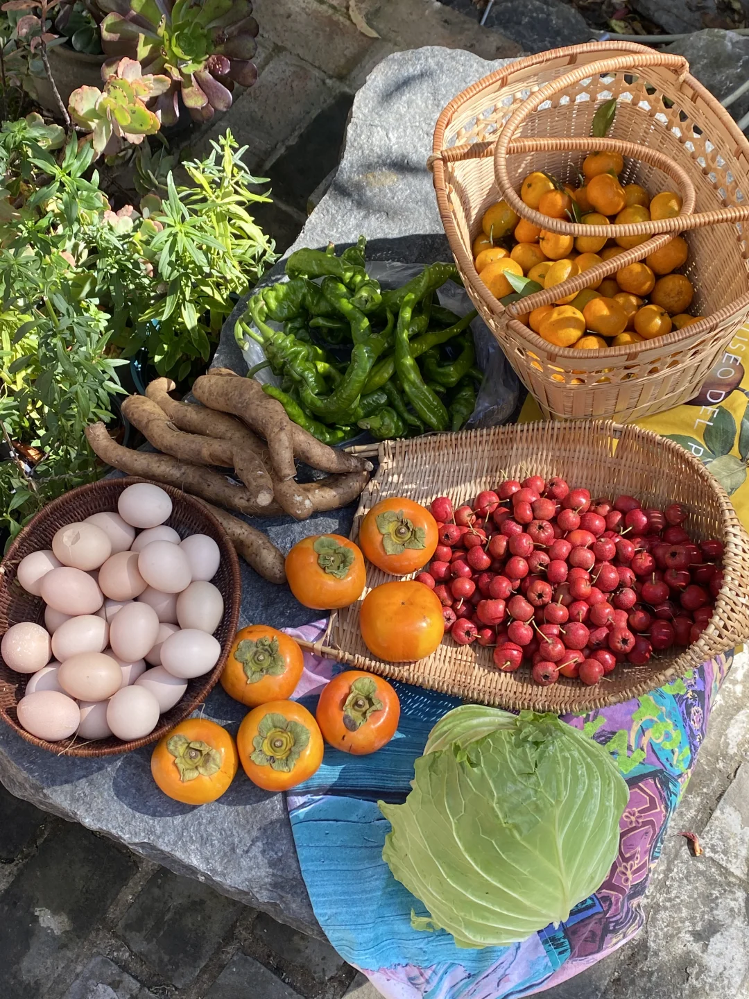 乡村市集逛不够?