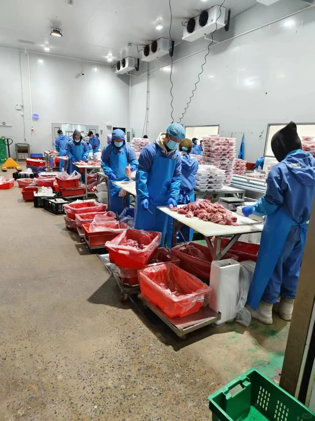 广州龙洞食品厂开招（名额有限）