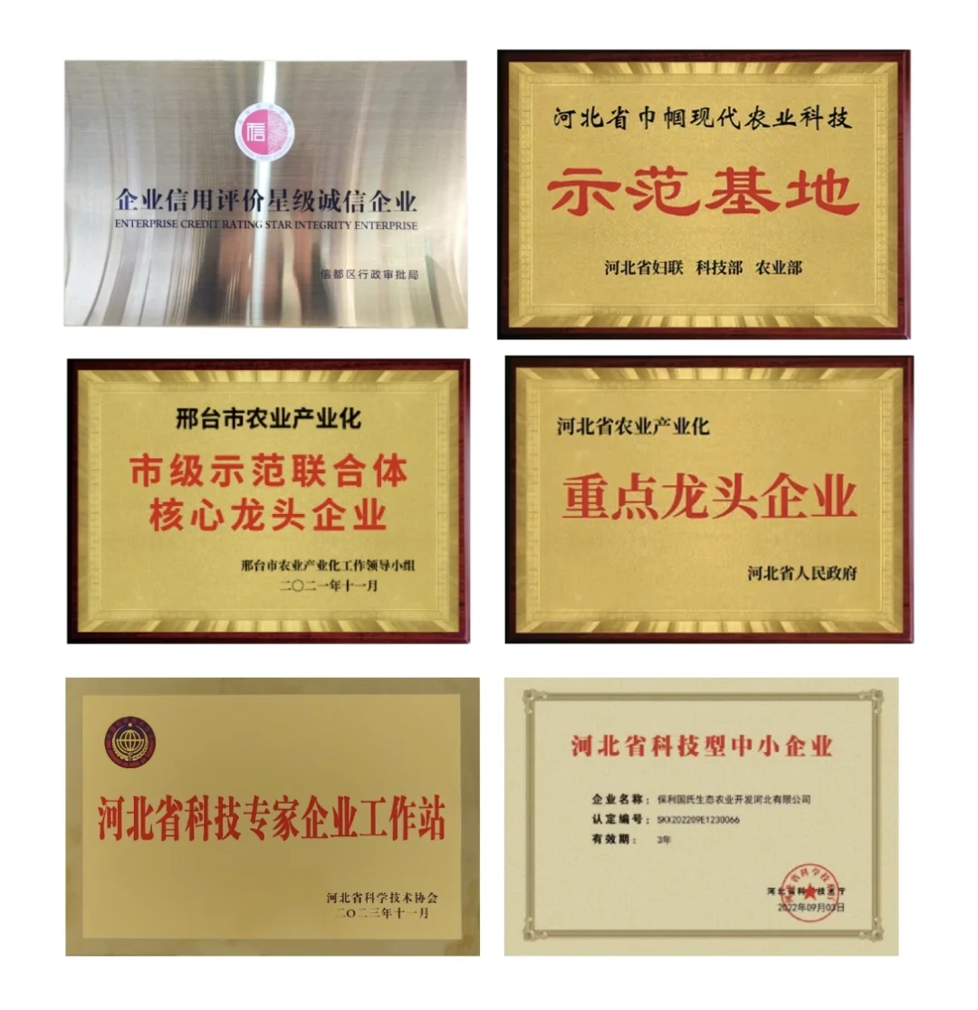 大健康食品源头工厂，你找到了吗？