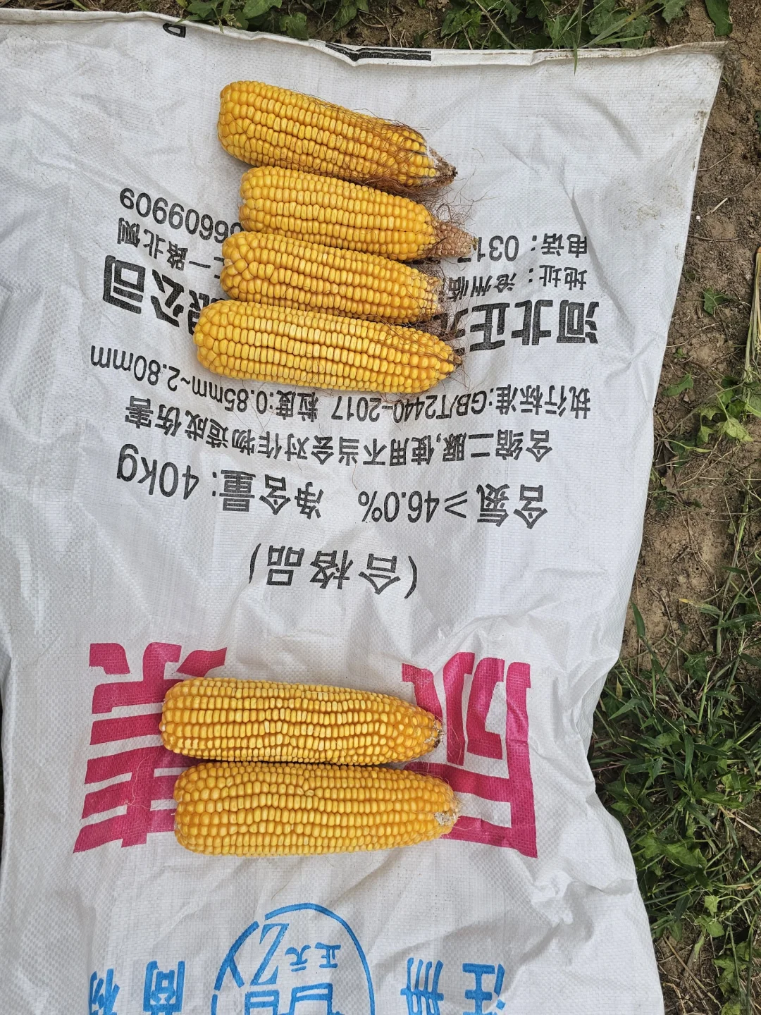 德国赢创增效剂