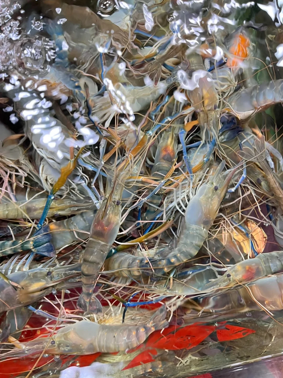 新鲜食材让您吃的放心，上海全区送货上门