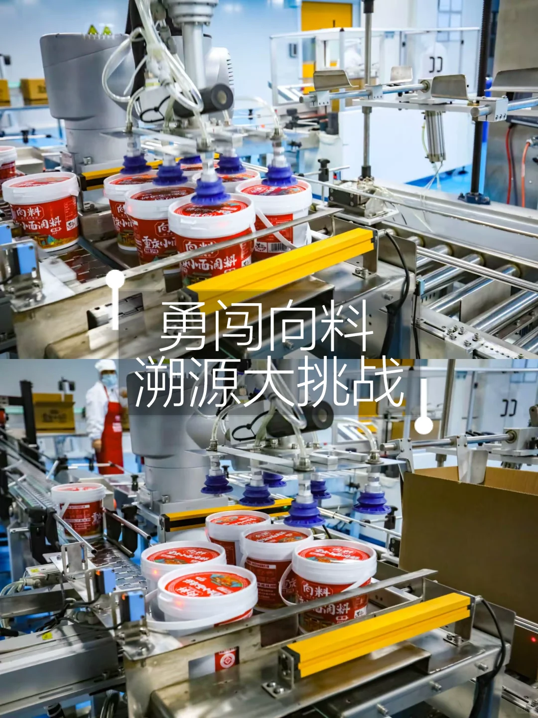 做食品‼️选良心企业很关键