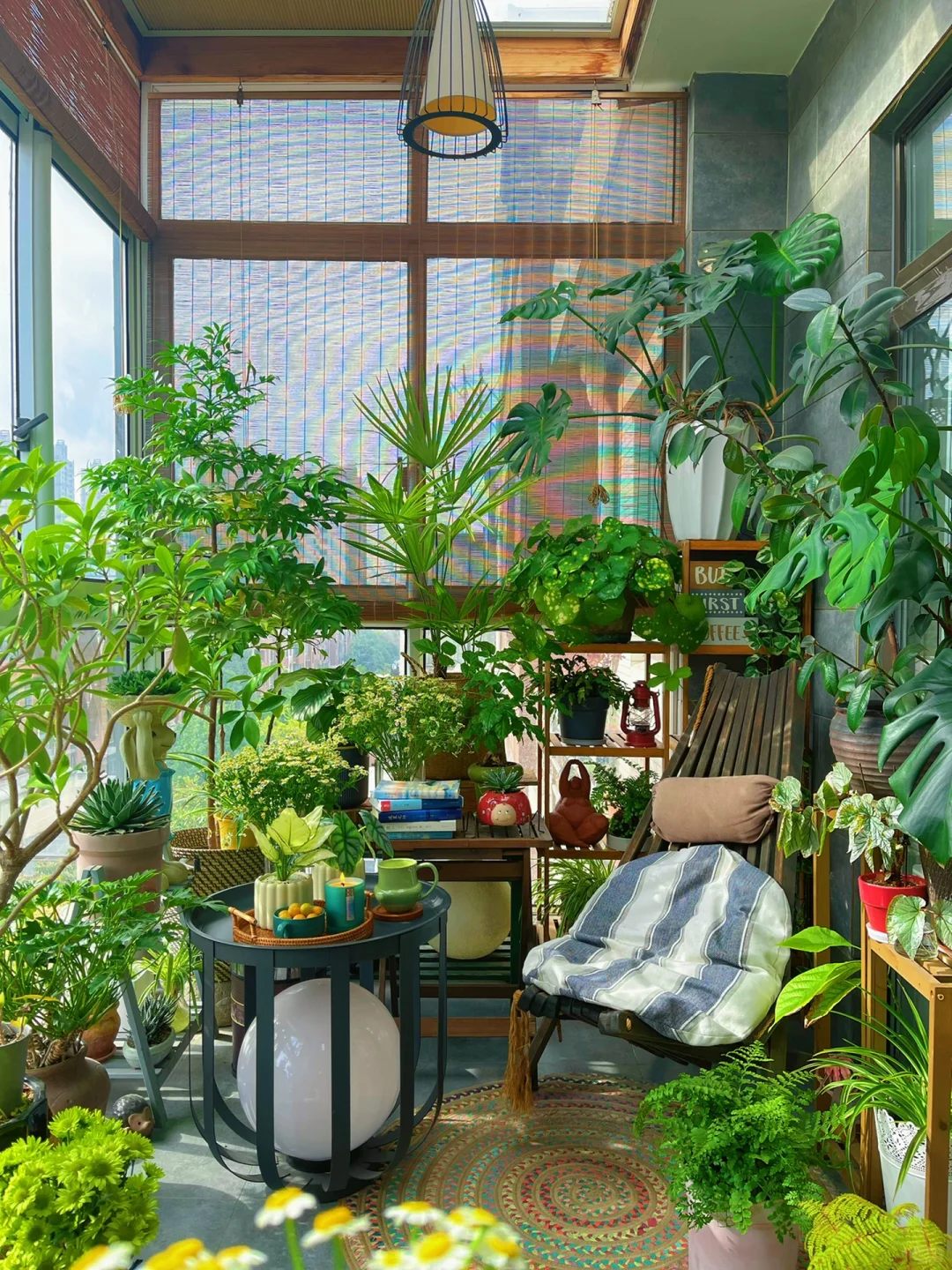 我的2023阳台小森林布置18图｜供参考