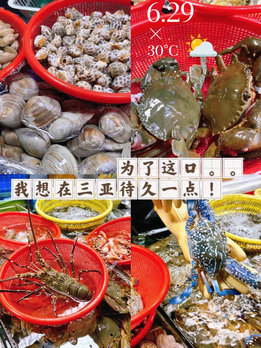 三亚海鲜参考指南 -小店新鲜又划算！?