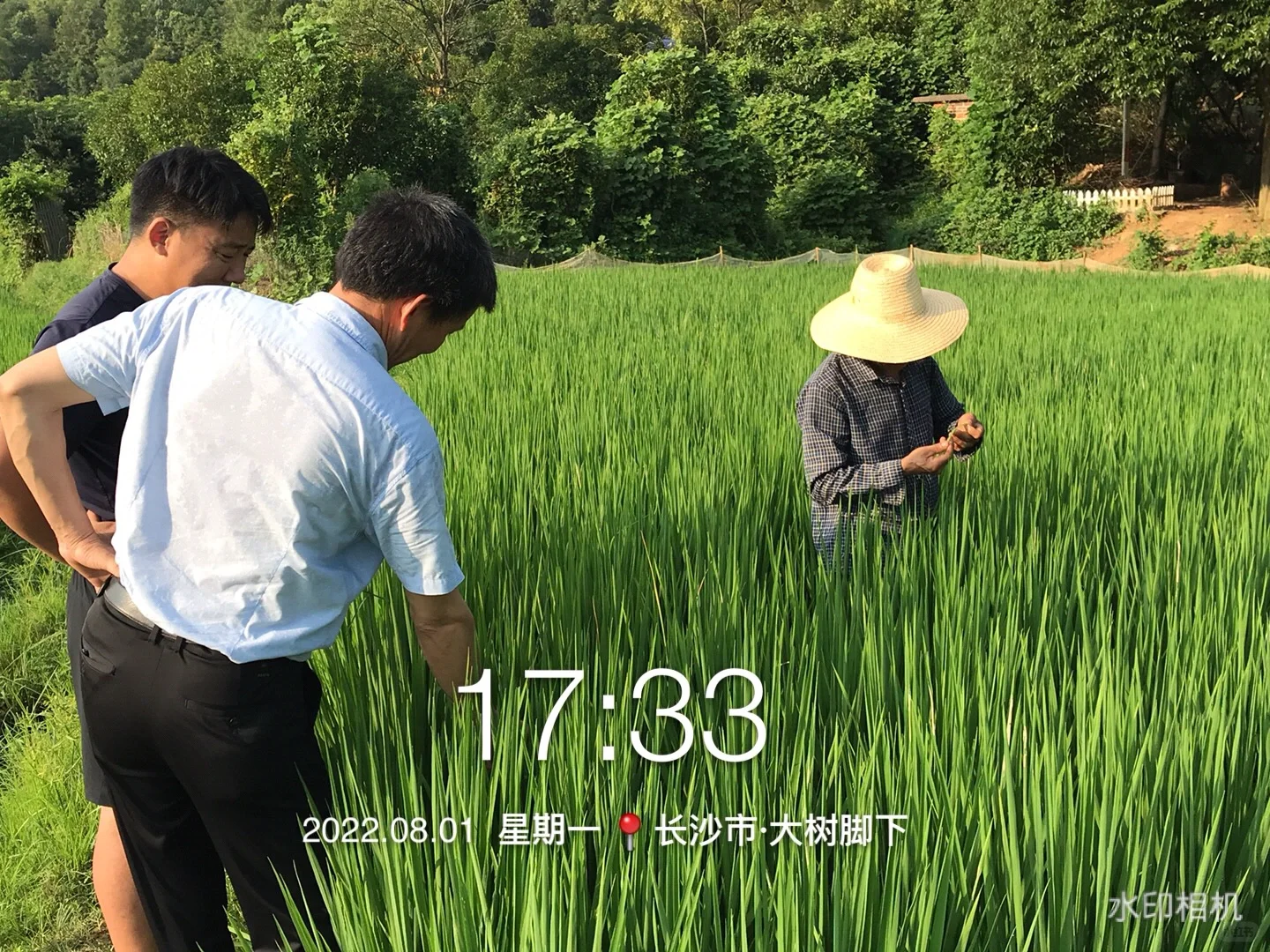 与农药交手的第三个年头