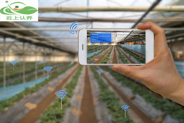 云上认养—物联网技术如何改变农场发展方式