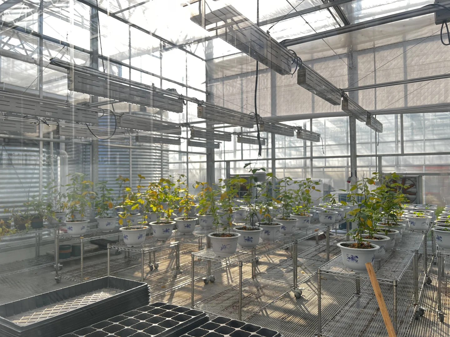 厉害了，“谢径安”！