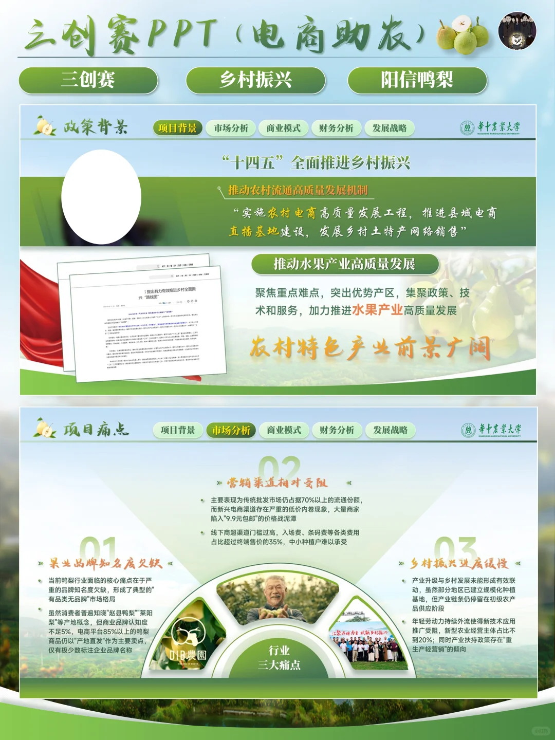 ✨️三创赛丨电商助力农业发展PPT