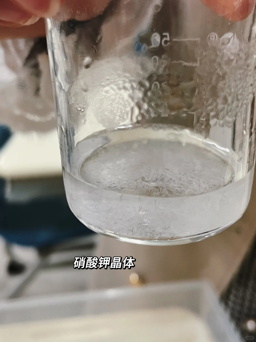 跨学科实践活动|海洋资源利用与制盐?