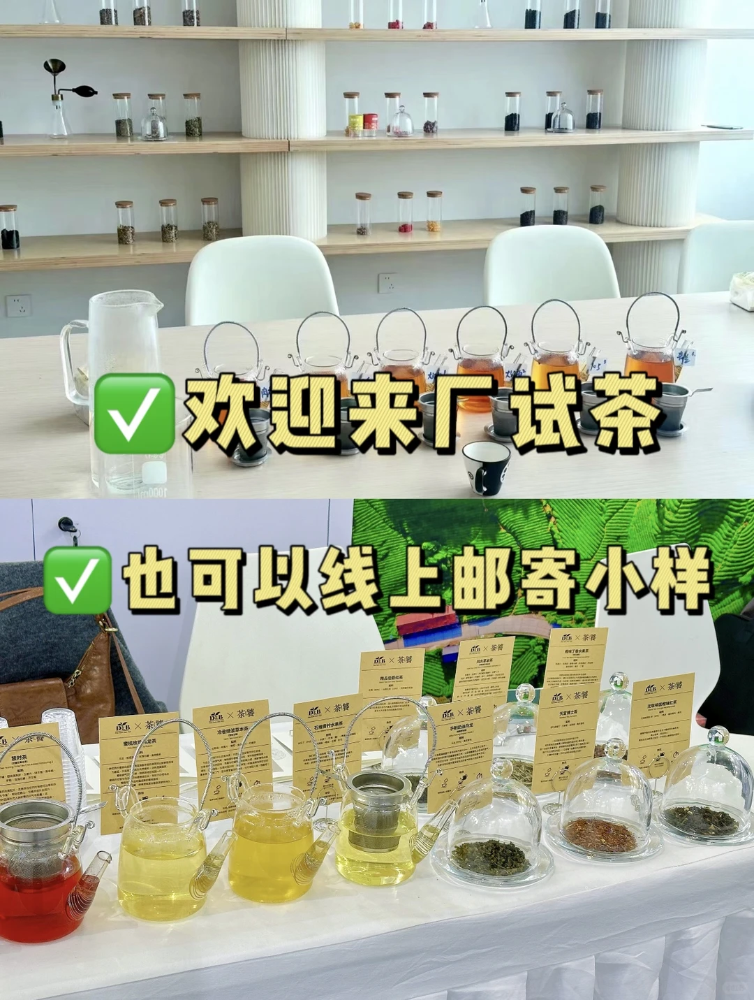 源头茶叶?工厂❗️1kg起批❗️可oem定制