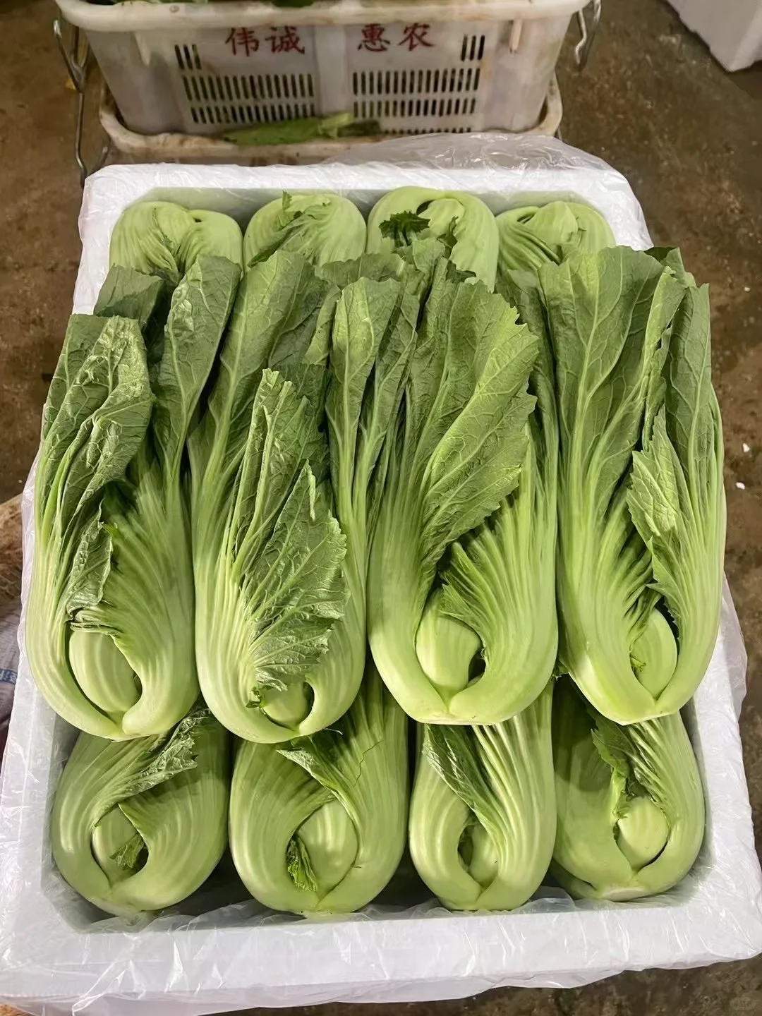 蔬菜批发 #食堂供应商 #同城配送 #餐饮供应