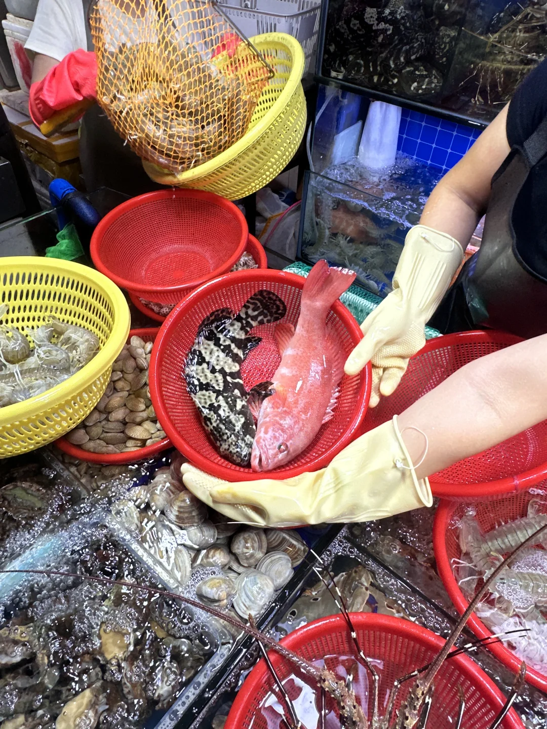 三亚本地人才来逛的市场不仅便宜种类还齐全