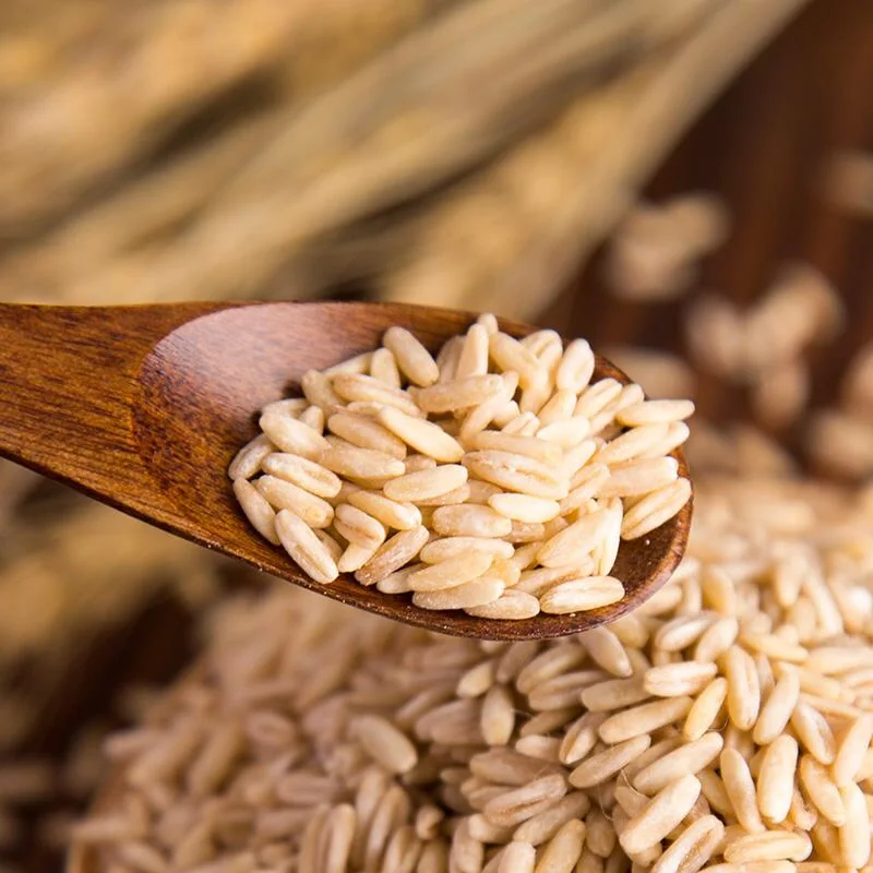 燕麦，不得不夸的食物，真的太值得吃了！