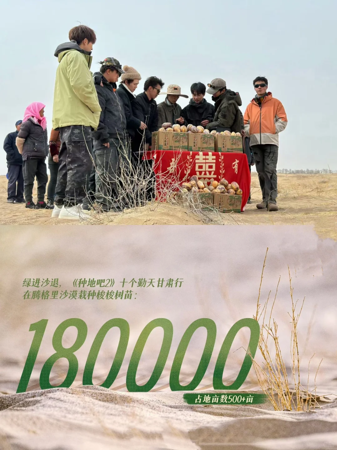 我们十勤就是顶顶好！！！