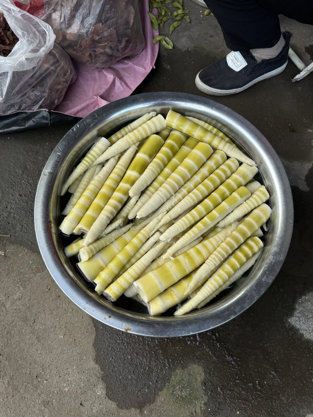 “靠山吃山：大山里这个季节吃啥…..”