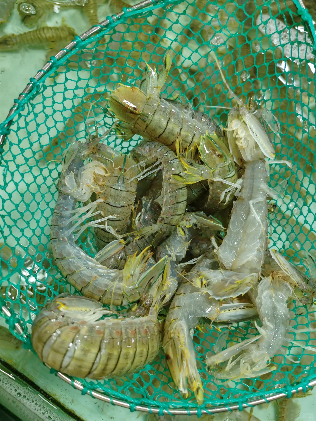 北海海鲜加工真的太贴心了‼️“不满意重做