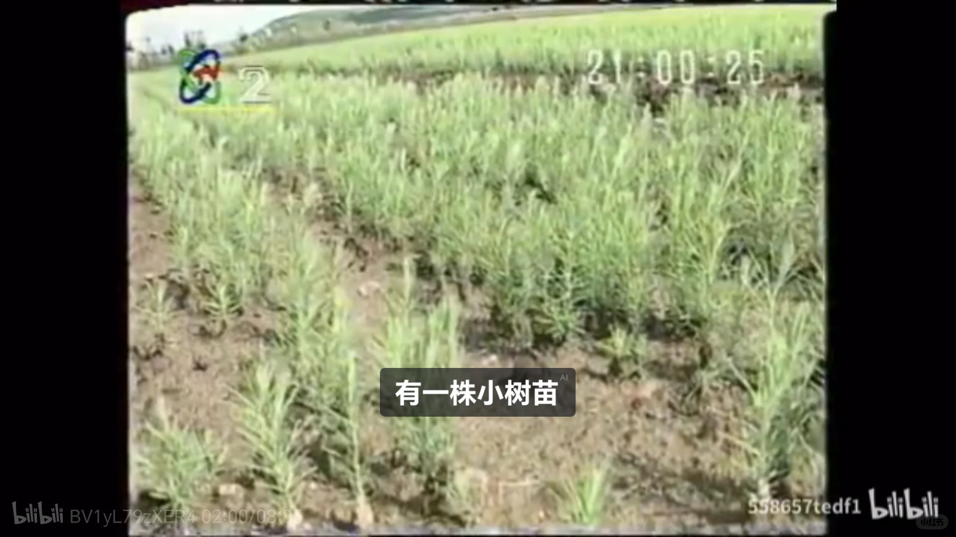 做个节能的中国人,还要保护环境。