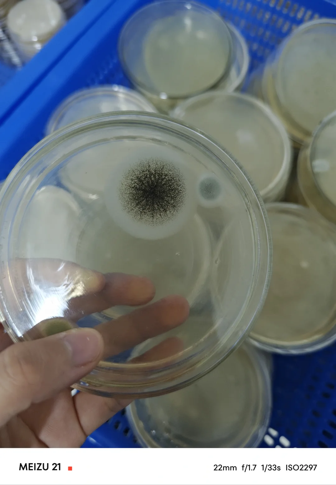 洁净区环境监测