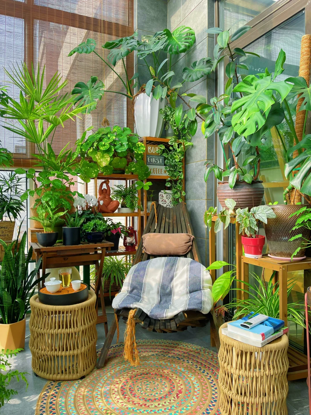 我的2023阳台小森林布置18图｜供参考