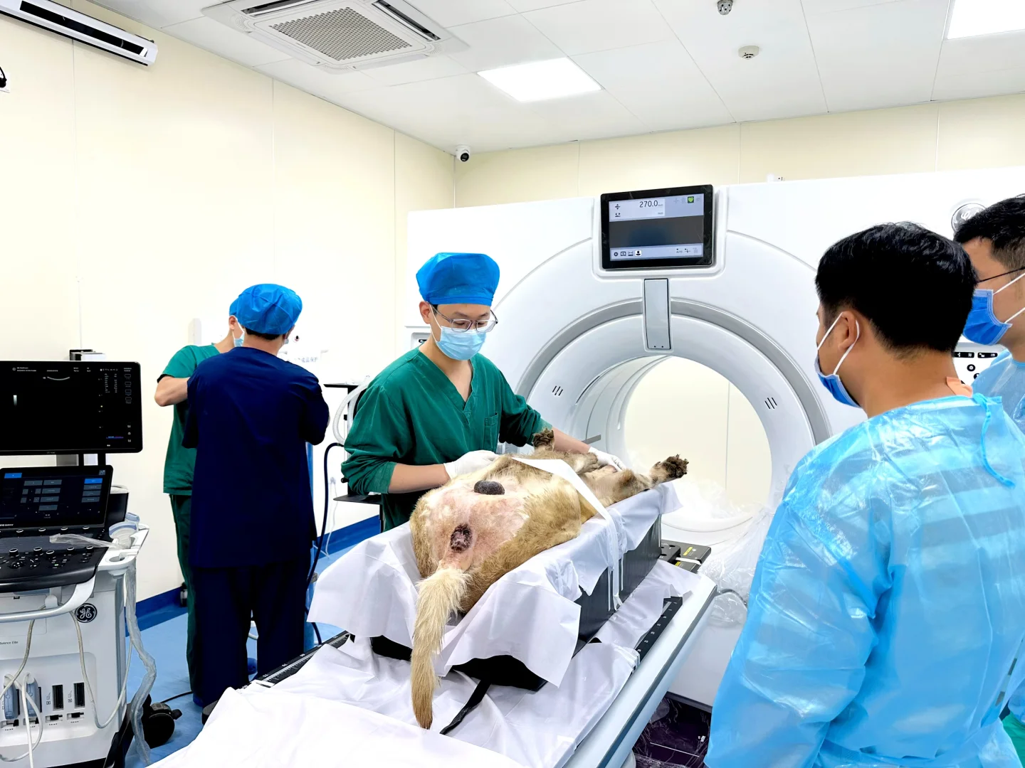 今天带着它们“出差”