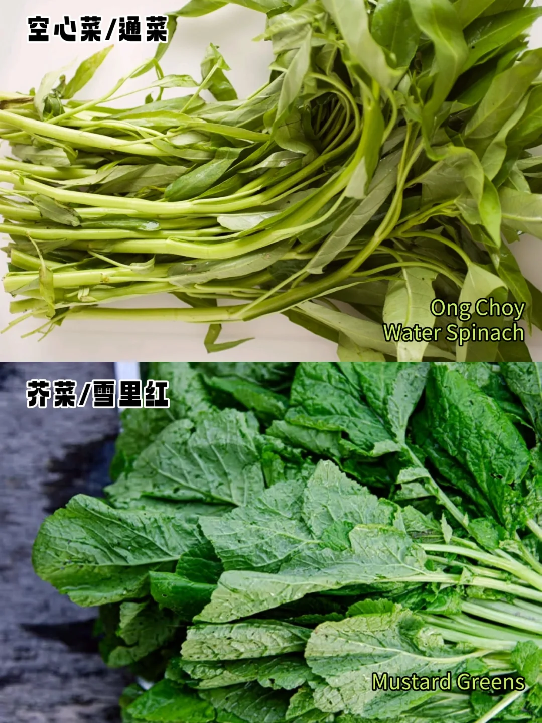 加拿大常见蔬菜中英文对照?叶菜篇