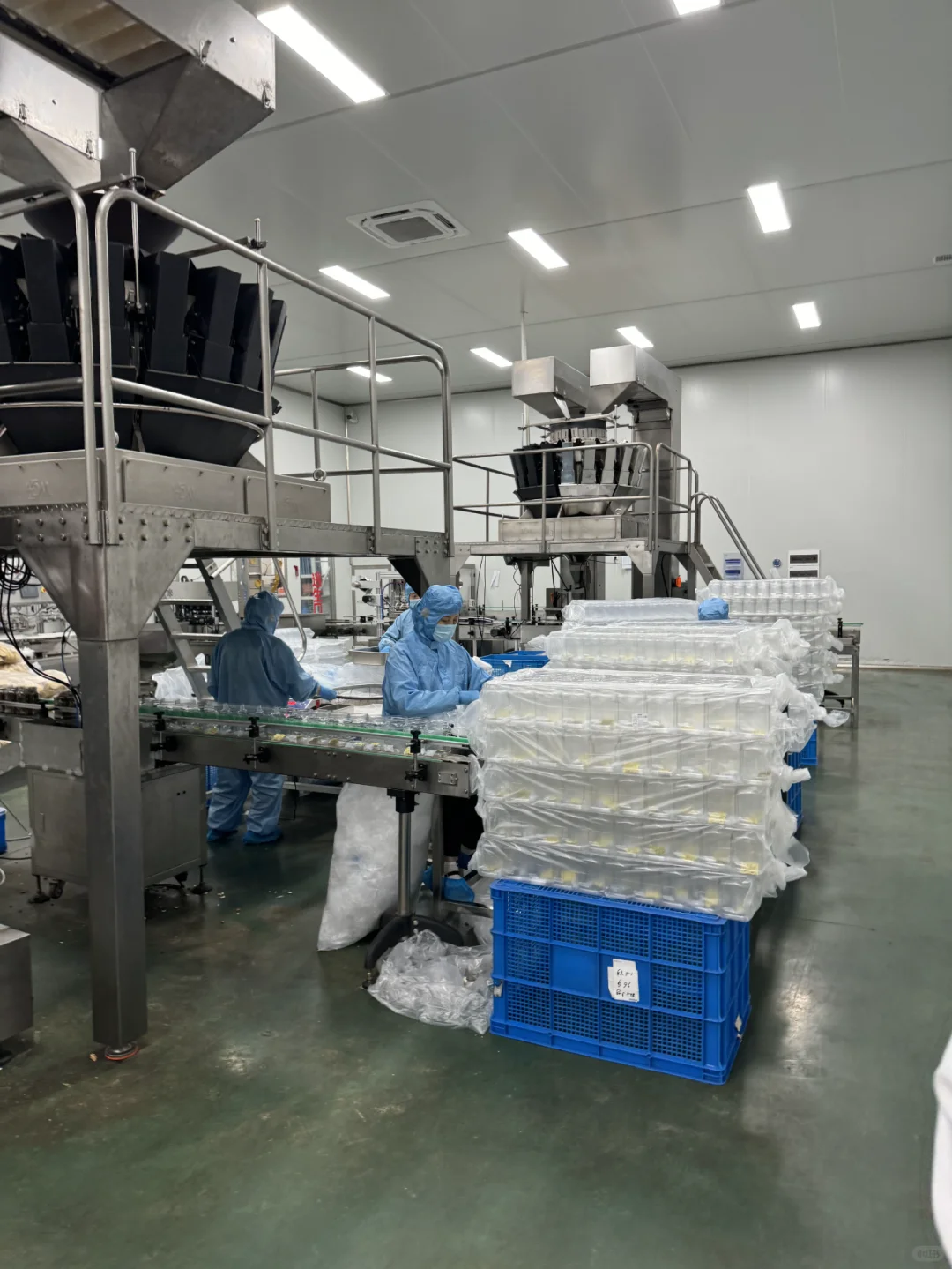 1688挖到三只ss、百c味老家了！坚果自由！