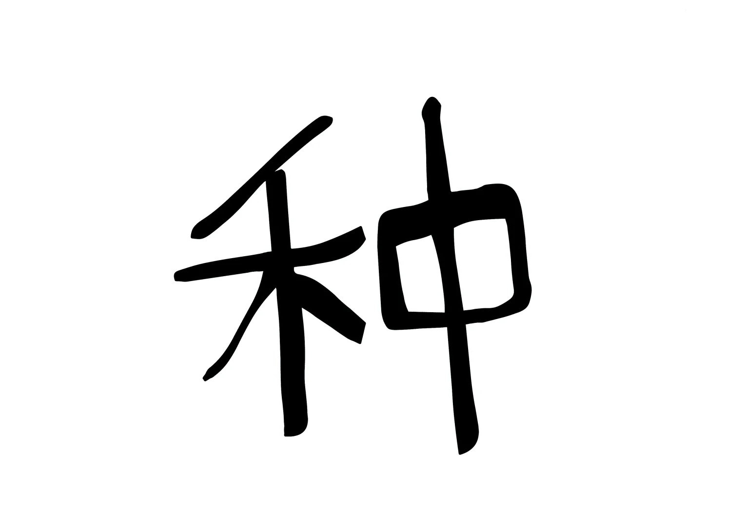 植物角：蔬菜的种类