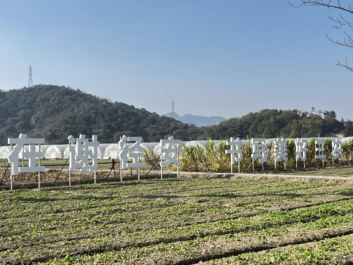 厉害了，“谢径安”！