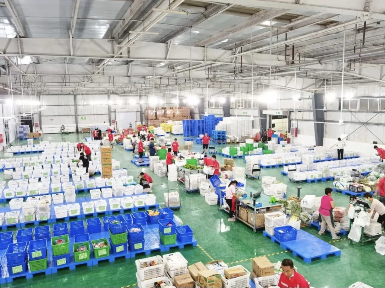 新鲜食材让您吃的放心，上海全区送货上门