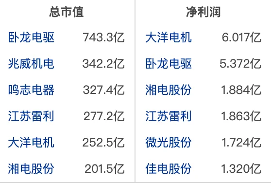 大A电机行业龙头