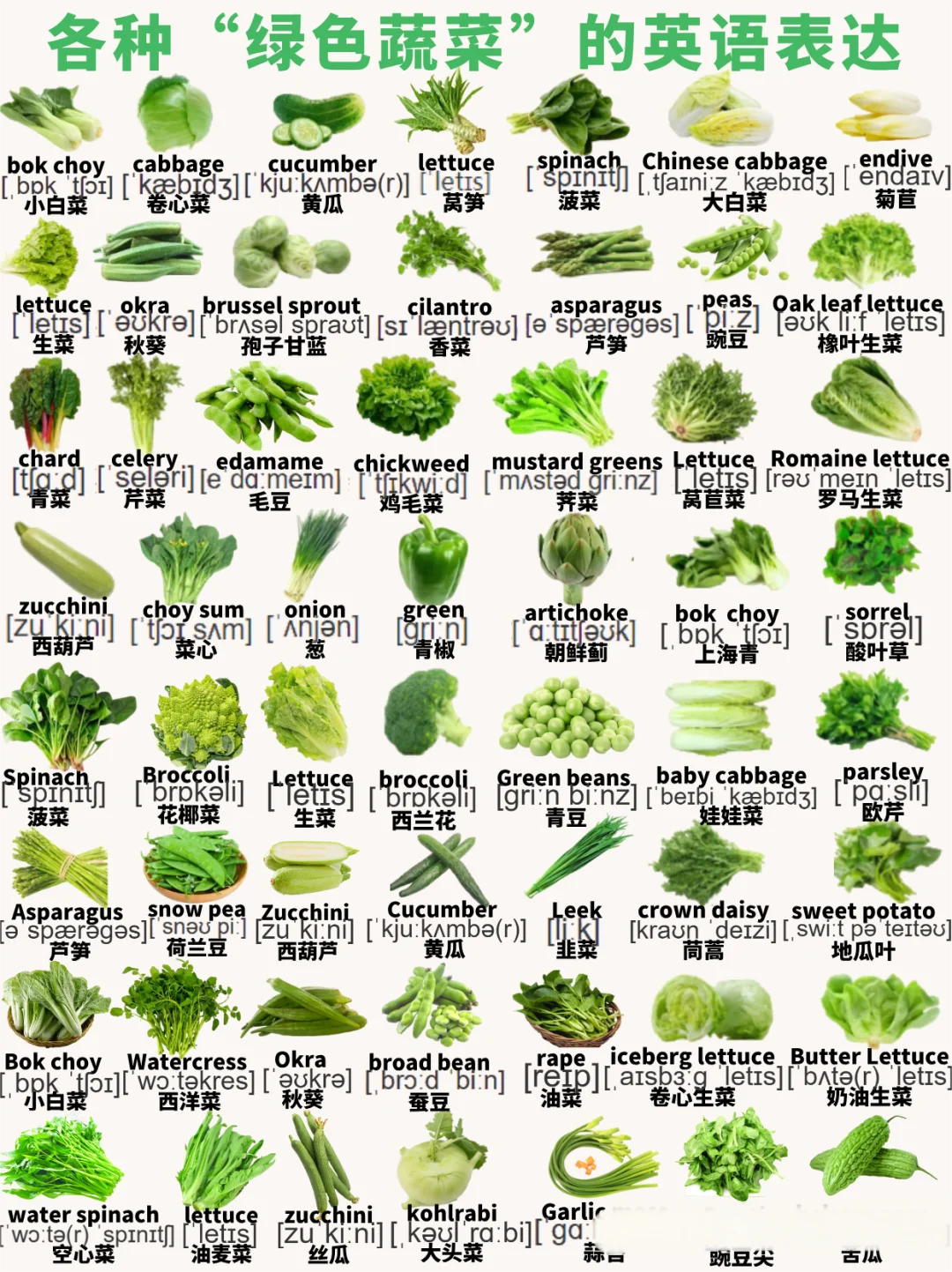 亲子英语｜绿色蔬菜词汇和高频亲子英语对话