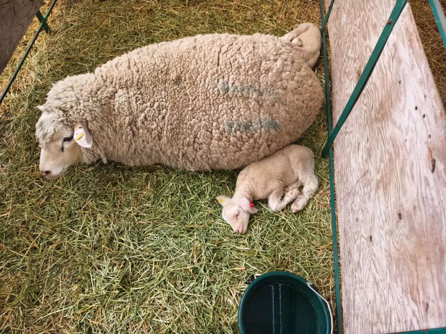 Olds College智能农场： 农业的未来！