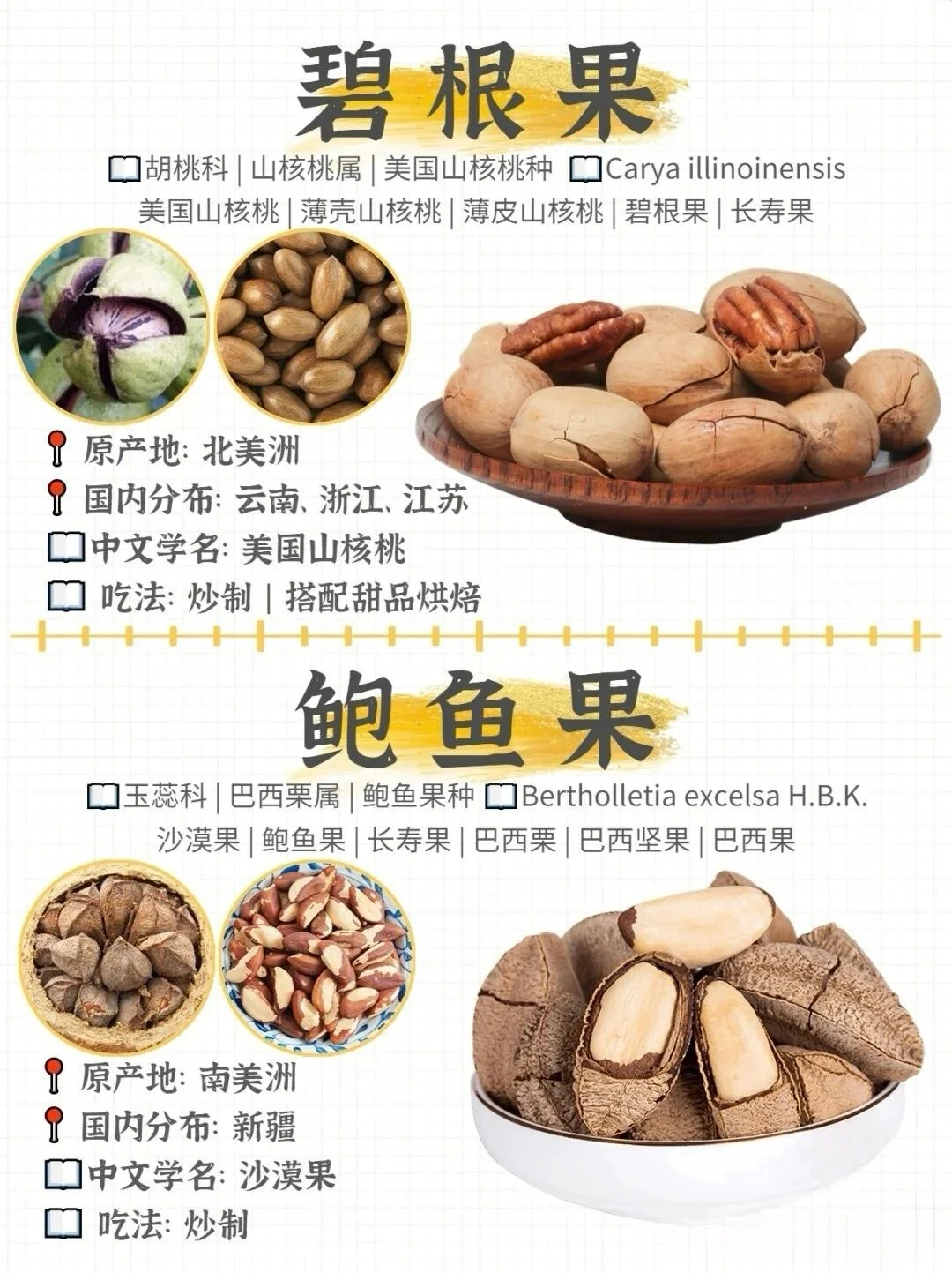 哪种坚果最好吃！坚果图鉴