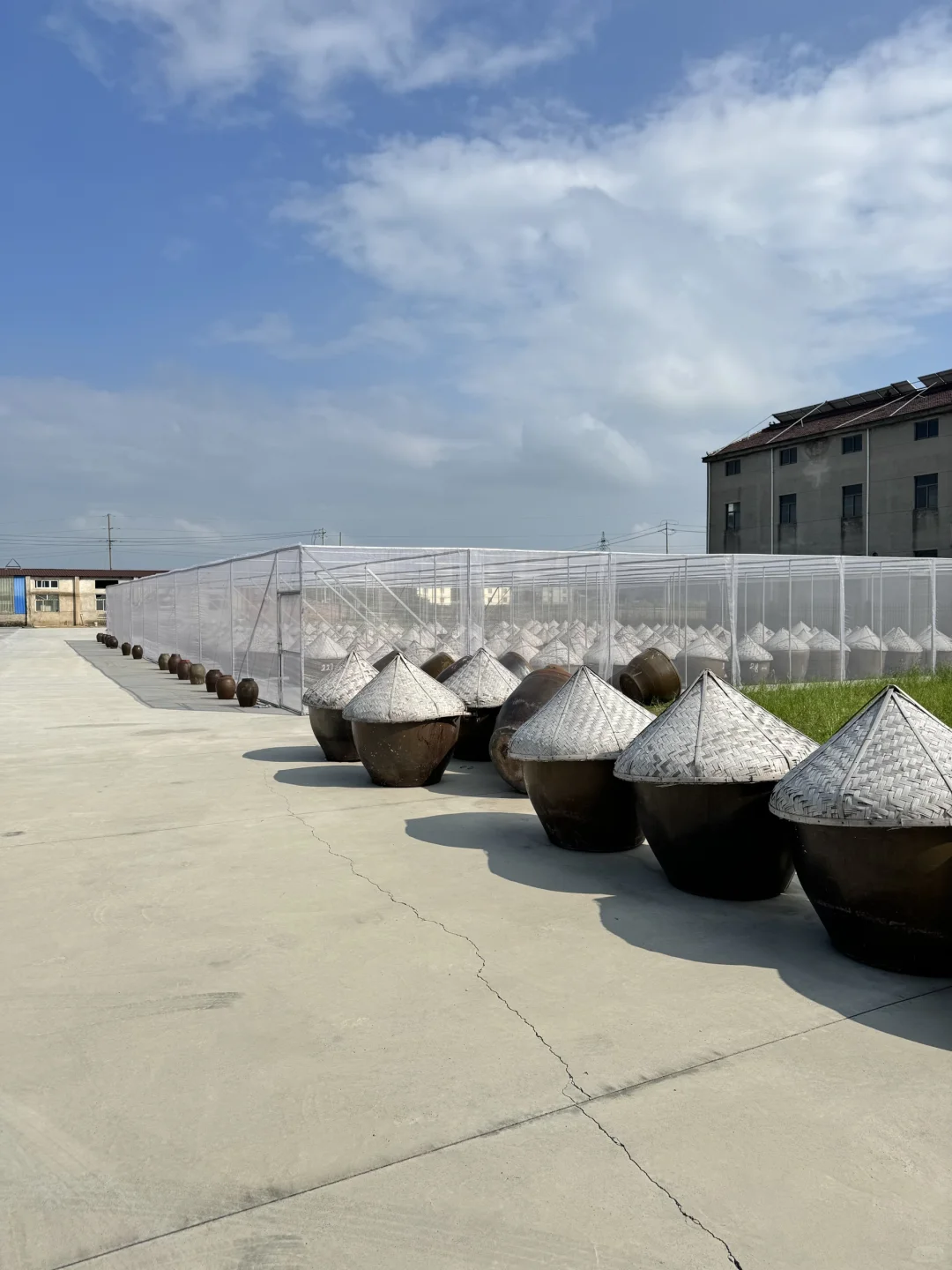 蕼源丰酱园美味鲜，晒足180天?